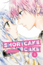 Shortcake Cake 05