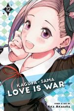 KaguyaSama Love Is War 12