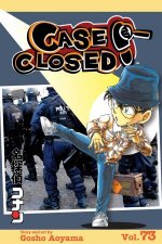 Case Closed Vol 73