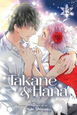 Takane  Hana Vol 13
