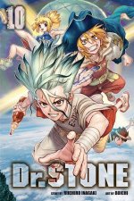 Dr Stone 10