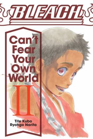 Bleach: Can't Fear Your Own World, Vol. 2 by Tite Kubo & Ryohgo Narita