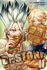 Dr Stone 11