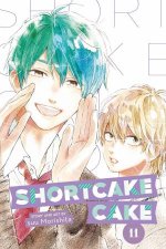 Shortcake Cake 11