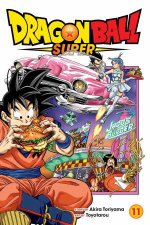 Dragon Ball Super 11