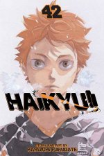 Haikyu 42