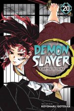 Demon Slayer Kimetsu No Yaiba 20