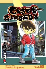 Case Closed Vol 83