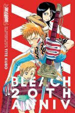 Bleach 20th Anniversary Edition Vol 1