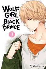 Wolf Girl and Black Prince Vol 3