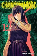 Chainsaw Man Vol 12