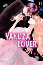 Yakuza Lover Vol 11