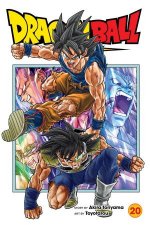 Dragon Ball Super Vol 20