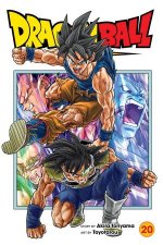 Dragon Ball Super 20