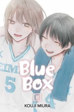 Blue Box Vol 11