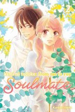 Kimi ni Todoke From Me to You Soulmate Vol 2