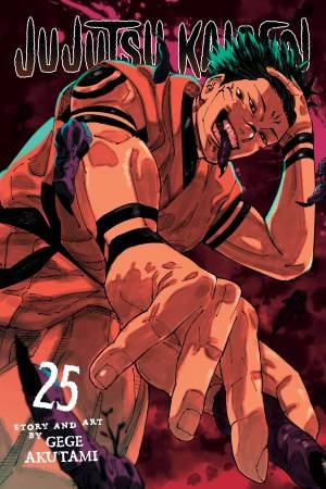 Jujutsu Kaisen 25 by Gege Akutami