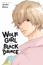 Wolf Girl and Black Prince Vol 13