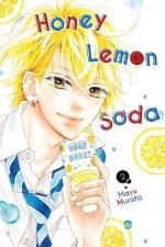 Honey Lemon Soda 02