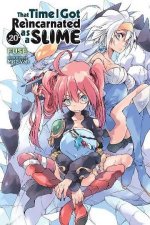 That Time I Got Reincarnated as a Slime Vol 20 light novel