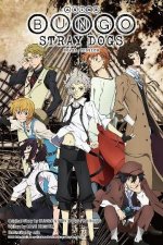 Anime Bungo Stray Dogs Novel Version