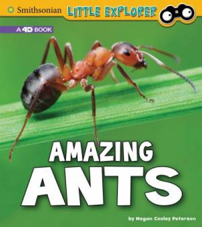 Little Entomologist: Amazing Ants by Megan Cooley Peterson