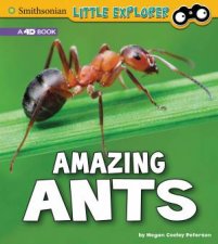 Little Entomologist Amazing Ants