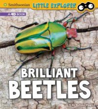 Little Entomologist Brilliant Beetles