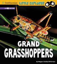 Little Entomologist Grand Grasshoppers