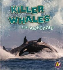 Polar Animals Killer Whales are Awesome