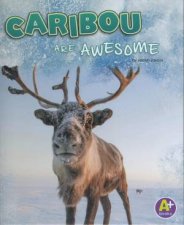 Polar Animals Caribou are Awesome