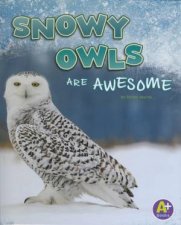 Polar Animals Snowy Owls are Awesome