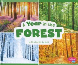 Season to Season: A Year in the Forest