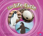 Cycles of Nature The Life Cycle