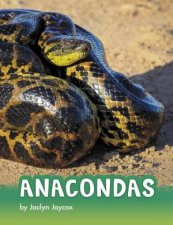 Animals Anacondas