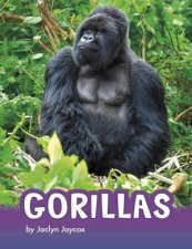 Animals Gorillas