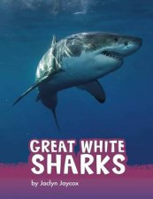 Animals Great White Sharks