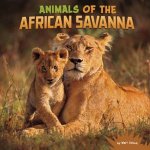 Wild Biomes Animals of the African Savanna
