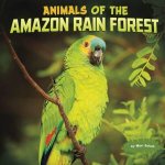 Wild Biomes Animals of the Amazon Rain Forest