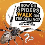 Questions and Answers About Animals How Do Spiders Walk On The Ceiling