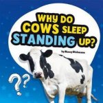 Questions and Answers About Animals Why Do Cows Sleep Standing Up