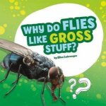 Questions and Answers About Animals Why Do Flies Like Gross Stuff