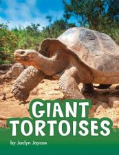 Animals Giant Tortoises