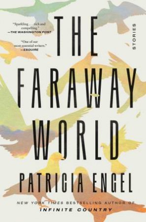 The Faraway World by Patricia Engel