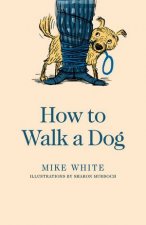 How To Walk A Dog