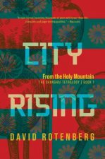 City Rising From the Holy Mountain