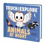 Touch And Explore Animals At Night