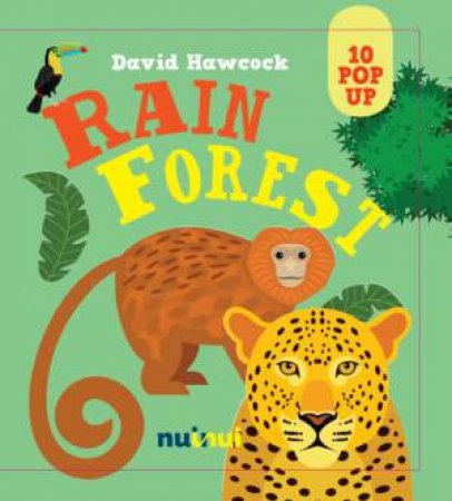 10 Pop Ups: Rain Forest by David Hawcock
