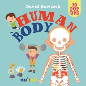 10 Pop Ups: Human Body by David Hawcock