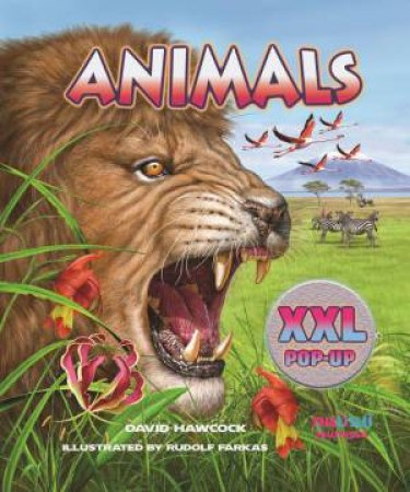 XXL Pop Up: Animals by DAVID HAWCOCK